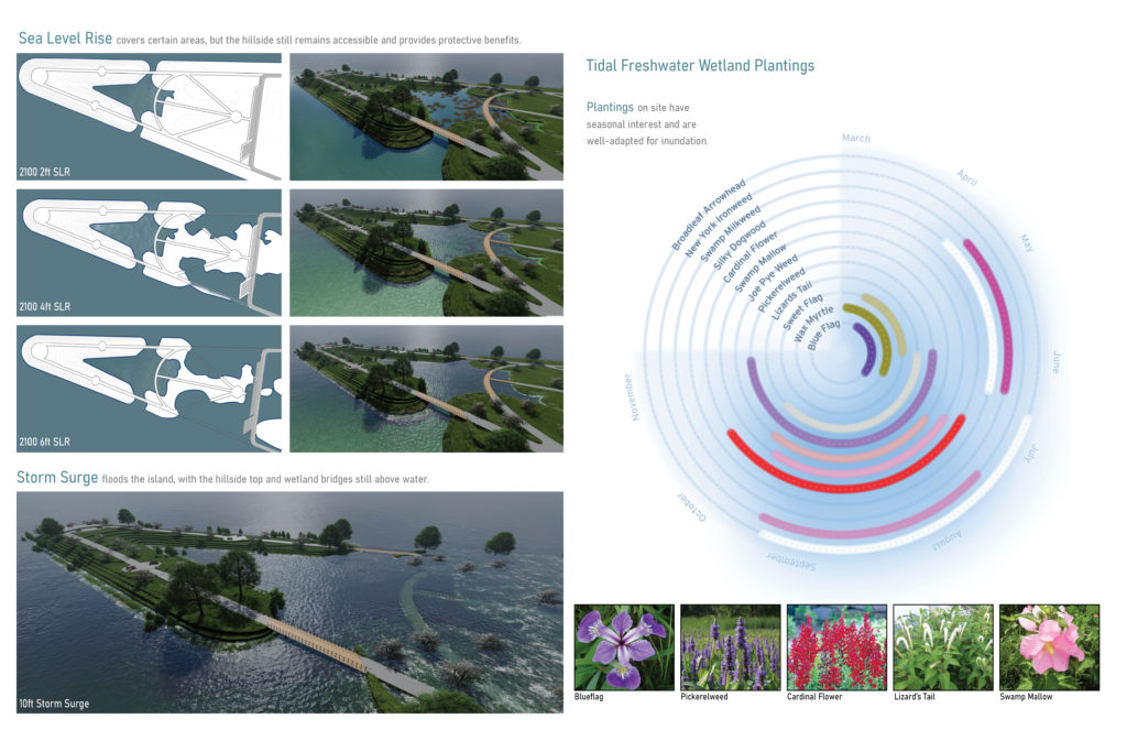 A spread with sea level rise studies on a landscape and planting wheel with bloom times of certain plants.