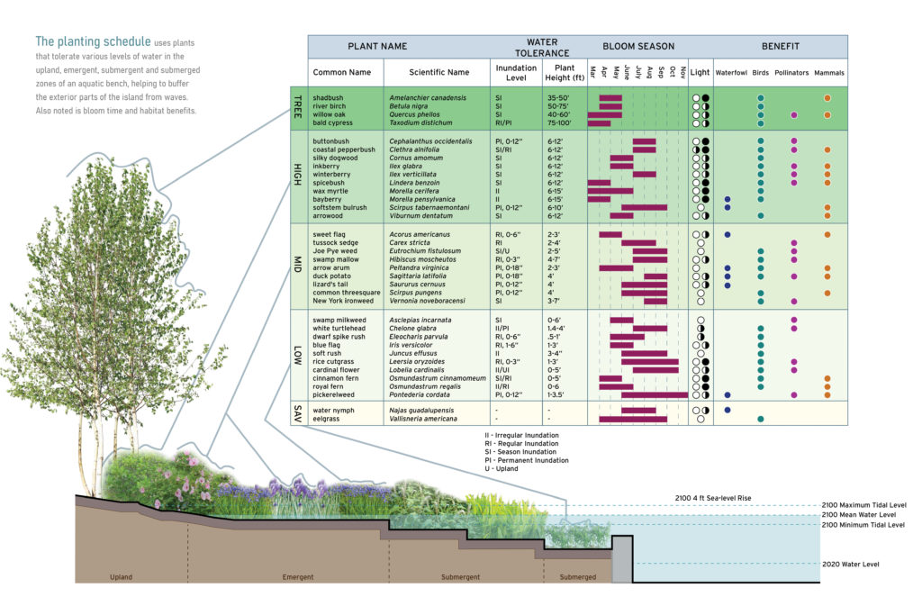 A planting table with plant names, flooding tolerance, bloom season and habitat benefits. Certain plants are identified on an adjacent section rendering.