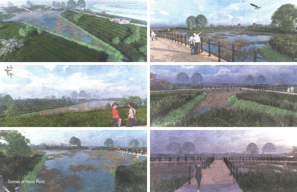 Six renderings, three on either side of the page, showing a hillside and wetland landscape.